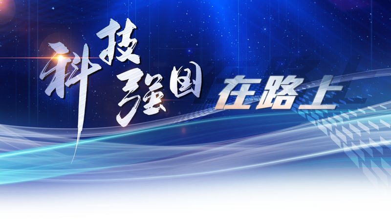企业搜索运维监控系统：如何选择合适方案**